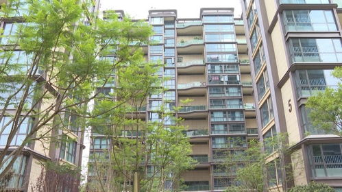 楚雄市出臺 十二條措施 促進(jìn)房地產(chǎn)市場平穩(wěn)健康發(fā)展