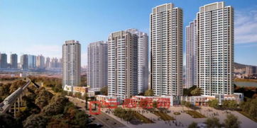 大華時(shí)光園一地塊過規(guī) 擬建設(shè)10棟高層住宅及1所幼兒園