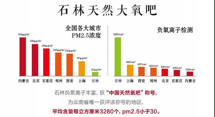 大美云南,旅居石林,凱旋怡景詩意棲息地產(chǎn)品發(fā)布會圓滿落幕