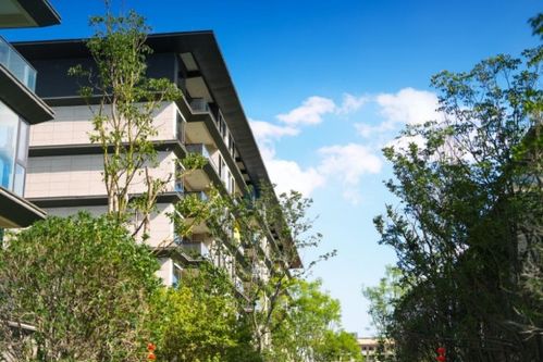 寶能滇池九璽 山海相逢,如約而至以匠心品質(zhì)兌現(xiàn)向往的生活