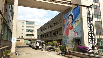 云南紡織廠生產區文創改造墻體彩繪墻繪手繪 錦泰彩繪